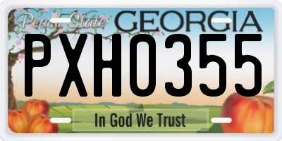 GA license plate PXH0355