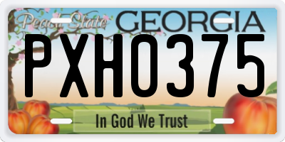 GA license plate PXH0375