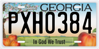 GA license plate PXH0384