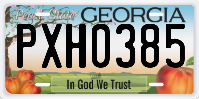 GA license plate PXH0385