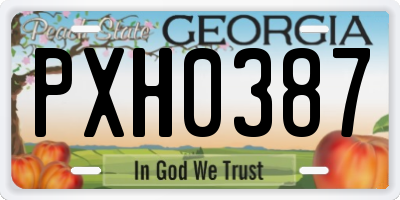 GA license plate PXH0387