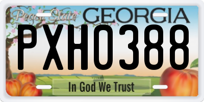 GA license plate PXH0388