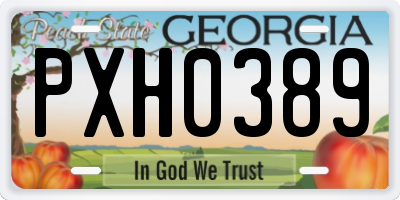 GA license plate PXH0389