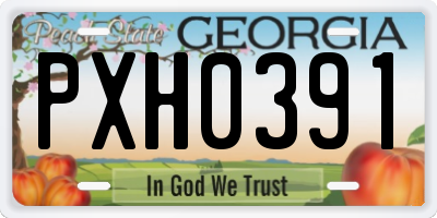 GA license plate PXH0391