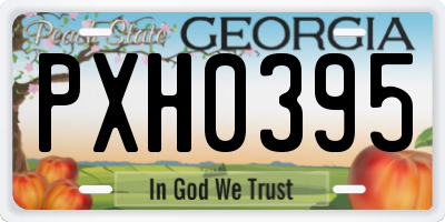 GA license plate PXH0395