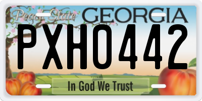 GA license plate PXH0442