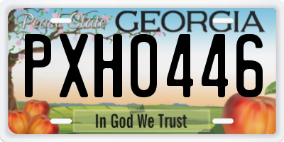 GA license plate PXH0446