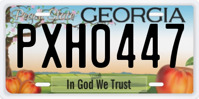 GA license plate PXH0447