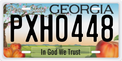 GA license plate PXH0448