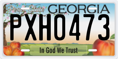 GA license plate PXH0473
