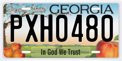 GA license plate PXH0480