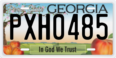 GA license plate PXH0485