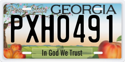 GA license plate PXH0491