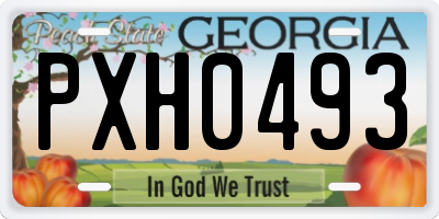 GA license plate PXH0493