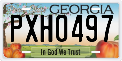 GA license plate PXH0497