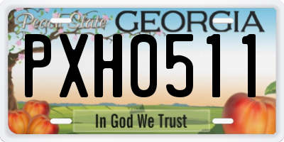 GA license plate PXH0511