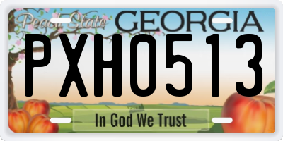 GA license plate PXH0513