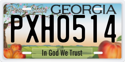 GA license plate PXH0514