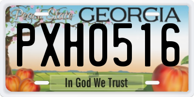 GA license plate PXH0516