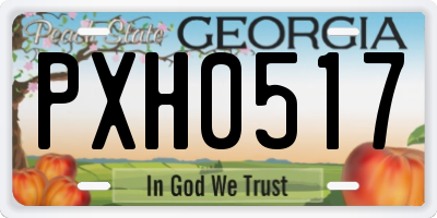 GA license plate PXH0517