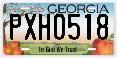 GA license plate PXH0518