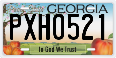 GA license plate PXH0521