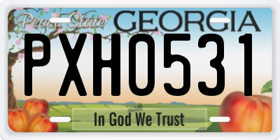 GA license plate PXH0531