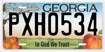 GA license plate PXH0534