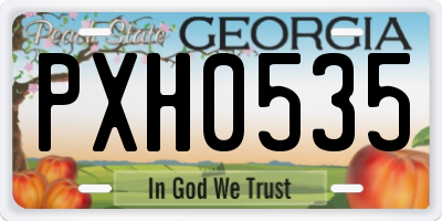 GA license plate PXH0535