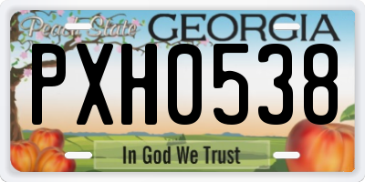 GA license plate PXH0538