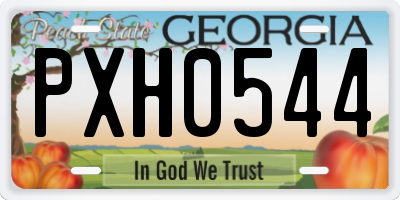 GA license plate PXH0544