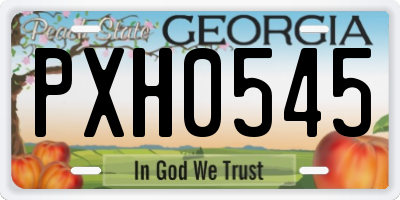 GA license plate PXH0545