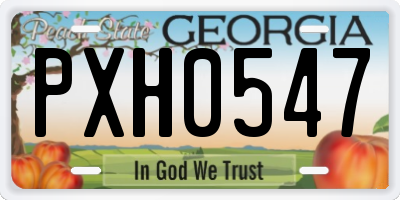 GA license plate PXH0547