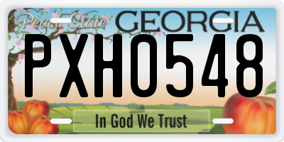GA license plate PXH0548