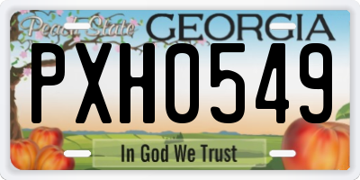 GA license plate PXH0549