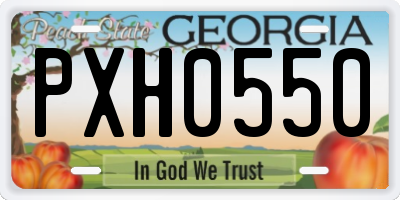 GA license plate PXH0550