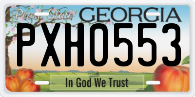GA license plate PXH0553