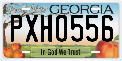 GA license plate PXH0556