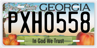 GA license plate PXH0558