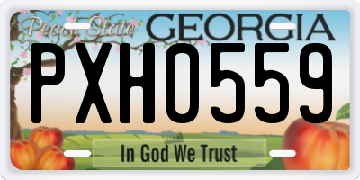 GA license plate PXH0559