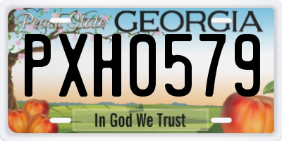GA license plate PXH0579