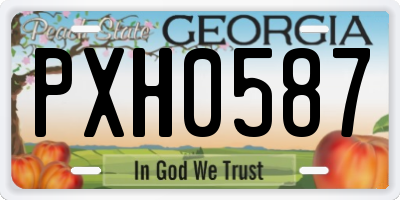 GA license plate PXH0587