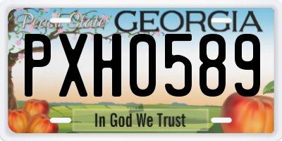 GA license plate PXH0589