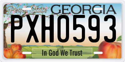GA license plate PXH0593