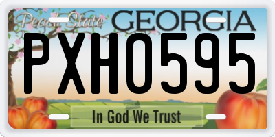GA license plate PXH0595
