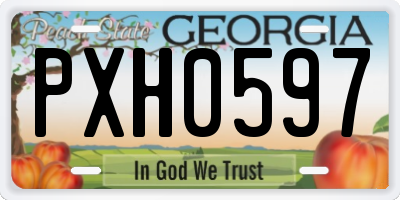 GA license plate PXH0597