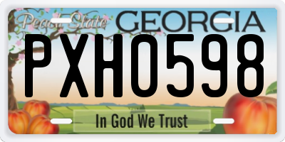 GA license plate PXH0598