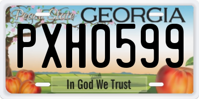 GA license plate PXH0599