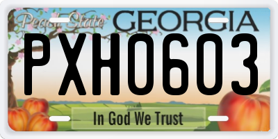 GA license plate PXH0603