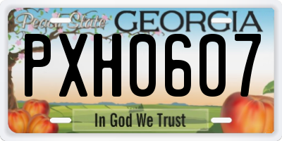 GA license plate PXH0607